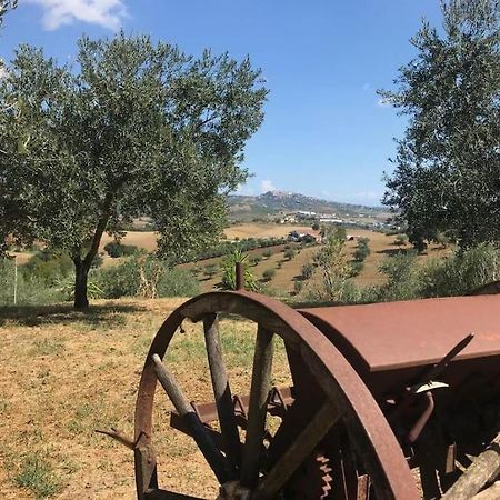 Appartamento Olivo Collecorvino 외부 사진