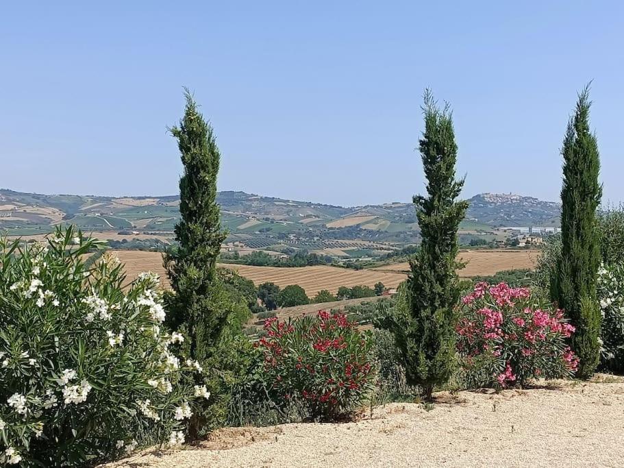 Appartamento Olivo Collecorvino 외부 사진