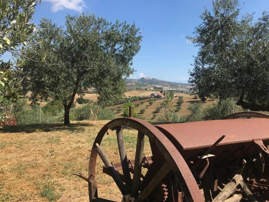Appartamento Olivo Collecorvino 외부 사진