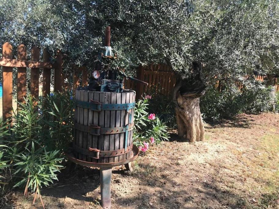 Appartamento Olivo Collecorvino 외부 사진