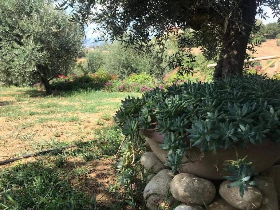 Appartamento Olivo Collecorvino 외부 사진